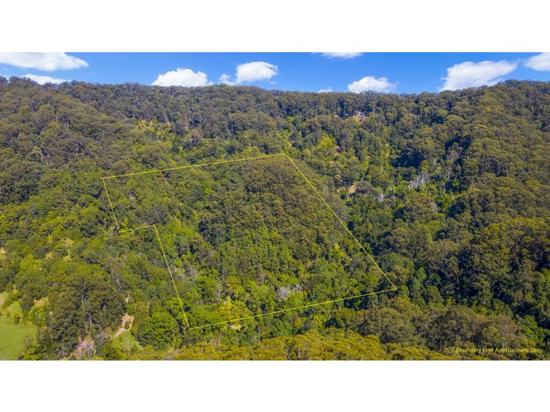 560 Middle Pocket Road, Middle Pocket NSW 2483