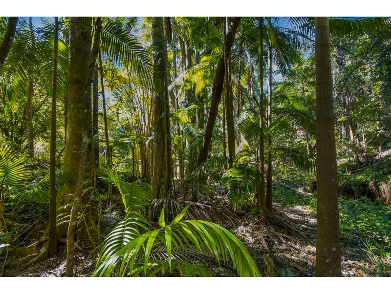 560 Middle Pocket Road, Middle Pocket NSW 2483