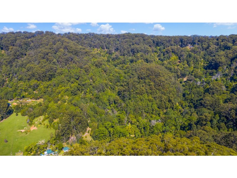 560 Middle Pocket Road, Middle Pocket NSW 2483