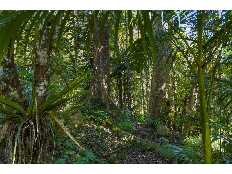 560 Middle Pocket Road, Middle Pocket NSW 2483