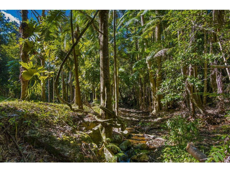 560 Middle Pocket Road, Middle Pocket NSW 2483