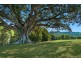 68 Pine Mountain Road, Possum Creek NSW 2479