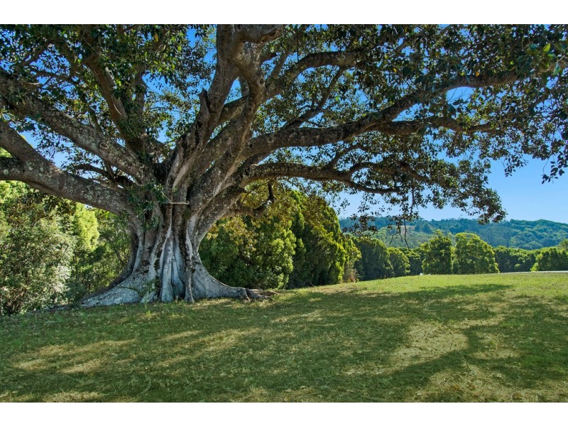 68 Pine Mountain Road, Possum Creek NSW 2479