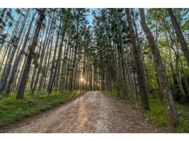 415 Goonengerry Road, Goonengerry NSW 2482