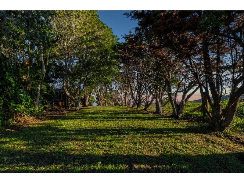 136 Midgen Flat Road, Newrybar NSW 2479