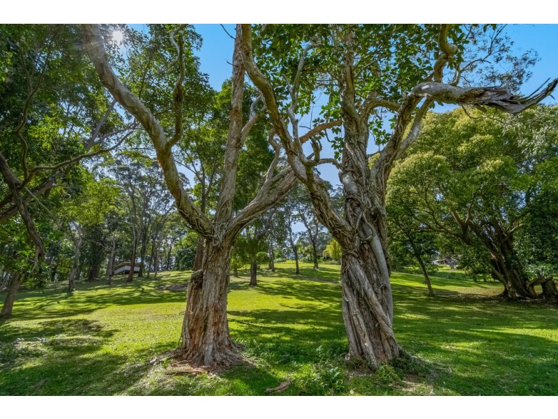 23 Hamiltons Lane, Byron Bay NSW 2481