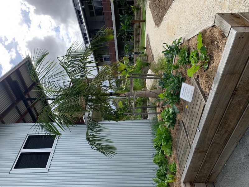 39 Easy Street, Byron Bay NSW 2481
