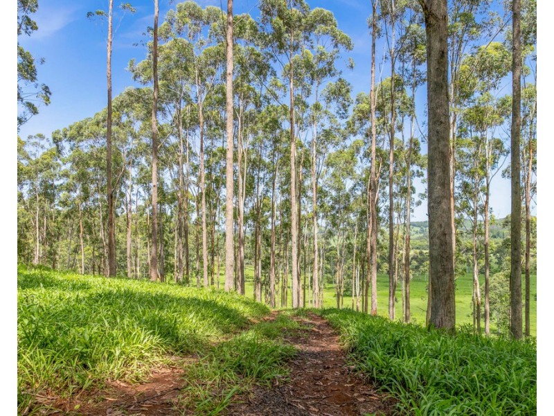 549 Booyong Road, Booyong NSW 2480