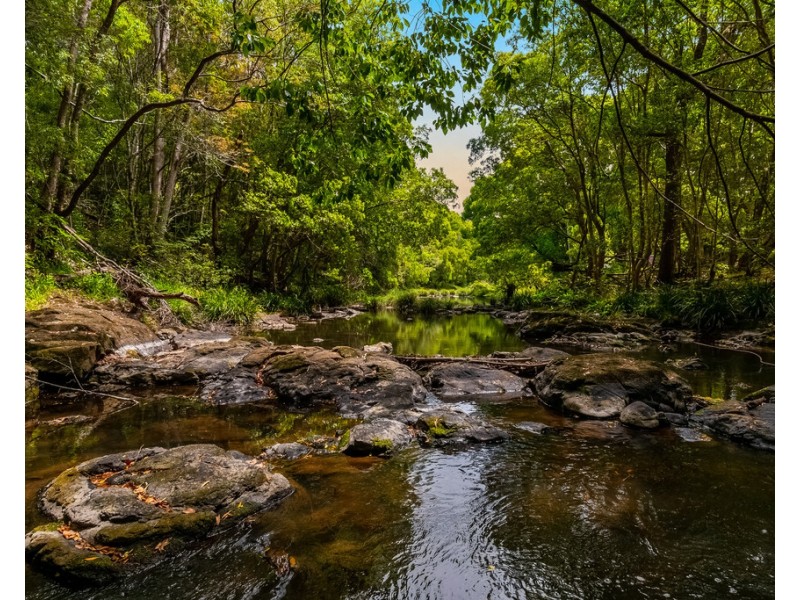 139 Newes Road, Coorabell NSW 2479