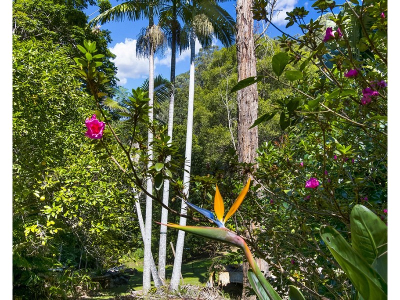 560 Middle Pocket Road, Middle Pocket NSW 2483