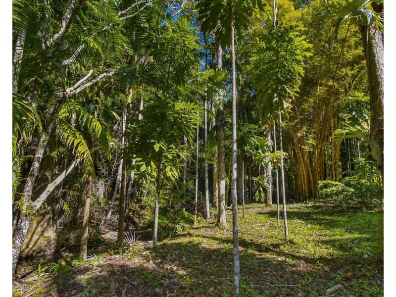 560 Middle Pocket Road, Middle Pocket NSW 2483