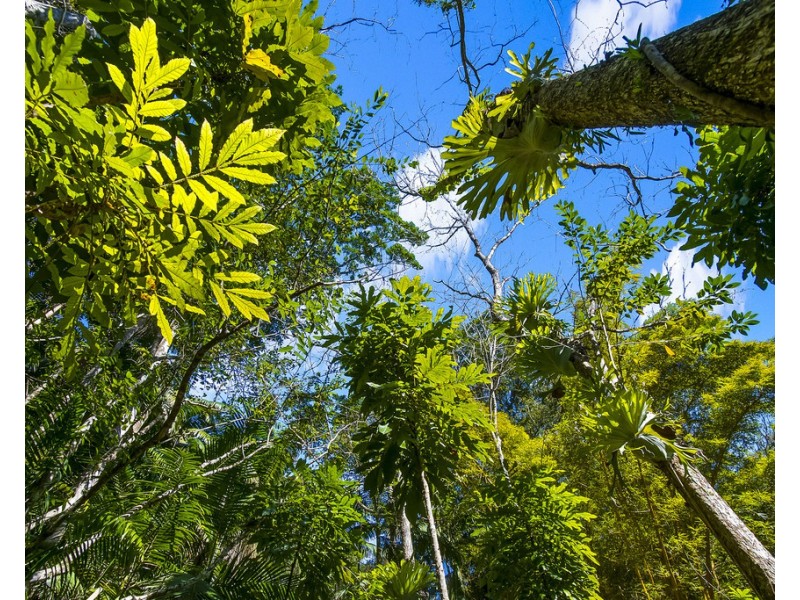 560 Middle Pocket Road, Middle Pocket NSW 2483