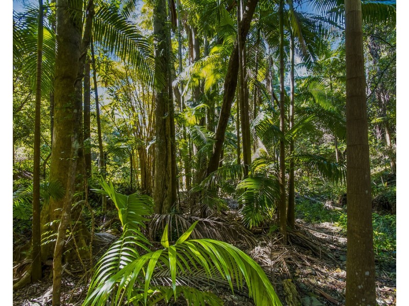 560 Middle Pocket Road, Middle Pocket NSW 2483