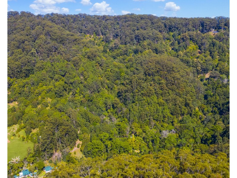 560 Middle Pocket Road, Middle Pocket NSW 2483