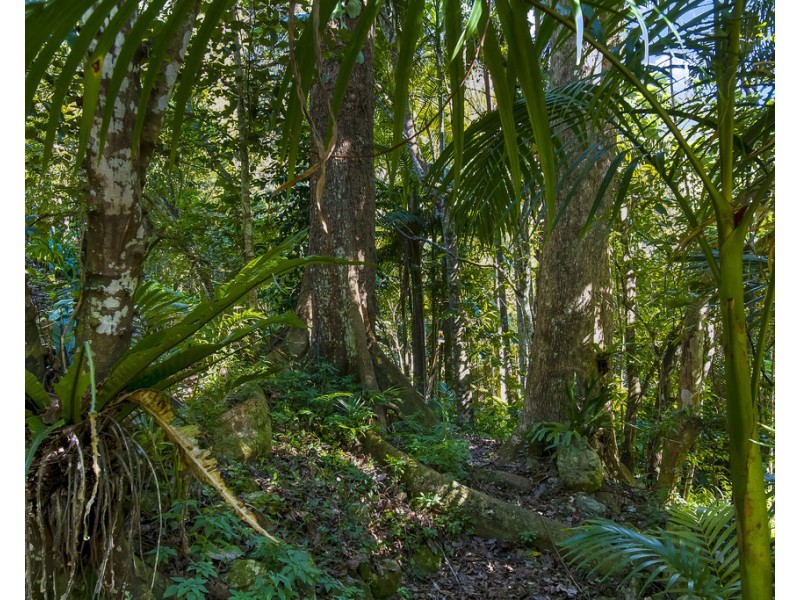 560 Middle Pocket Road, Middle Pocket NSW 2483