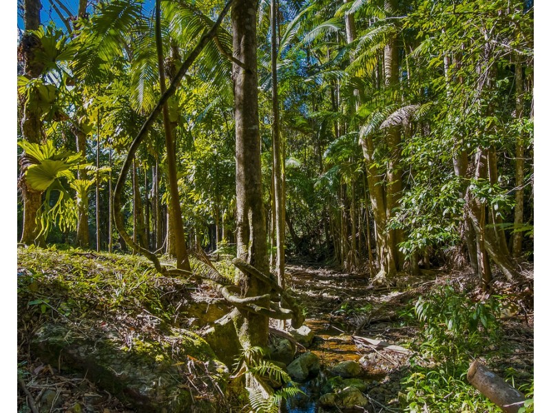 560 Middle Pocket Road, Middle Pocket NSW 2483