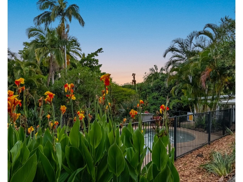 405 Goonengerry Road, Goonengerry NSW 2482