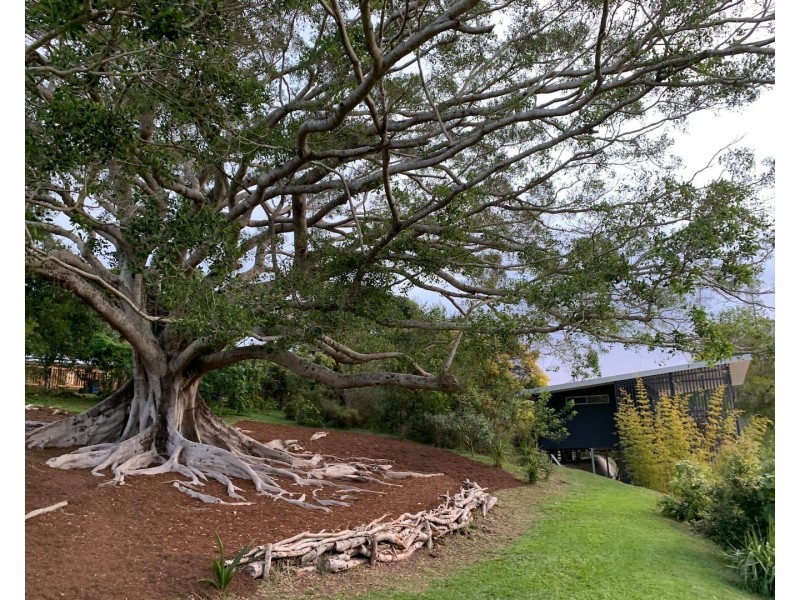 29 Benloro Lane, Myocum NSW 2481