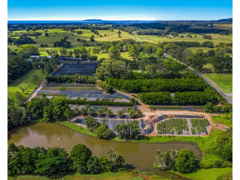 196 Myocum Road, Ewingsdale NSW 2481