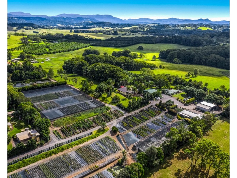 196 Myocum Road, Ewingsdale NSW 2481