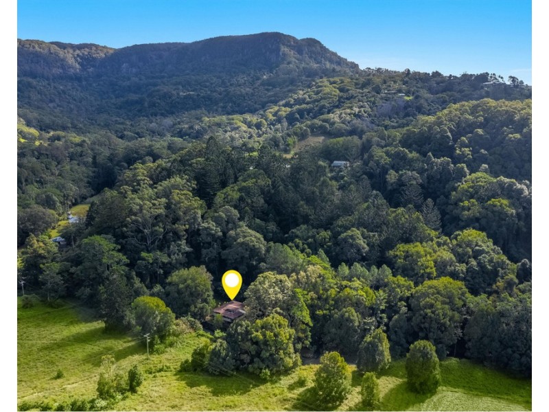 599 Left Bank Road, Mullumbimby Creek NSW 2482