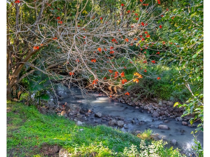 599 Left Bank Road, Mullumbimby Creek NSW 2482