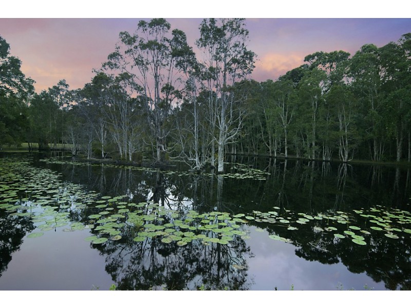 48 Tobin Close, Lennox Head NSW 2478