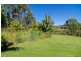 54 Alidenes Road, Mullumbimby NSW 2482
