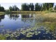 257  McAuley Lane, Myocum NSW 2481