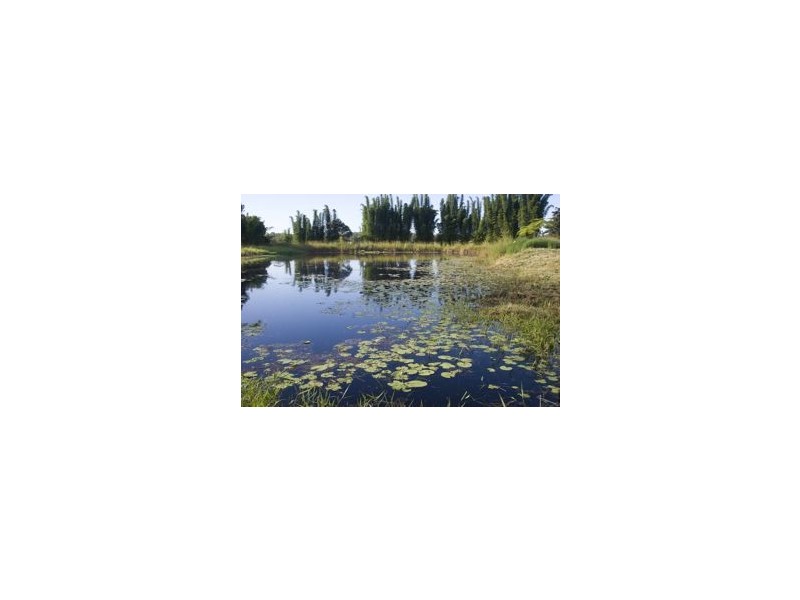 257  McAuley Lane, Myocum NSW 2481