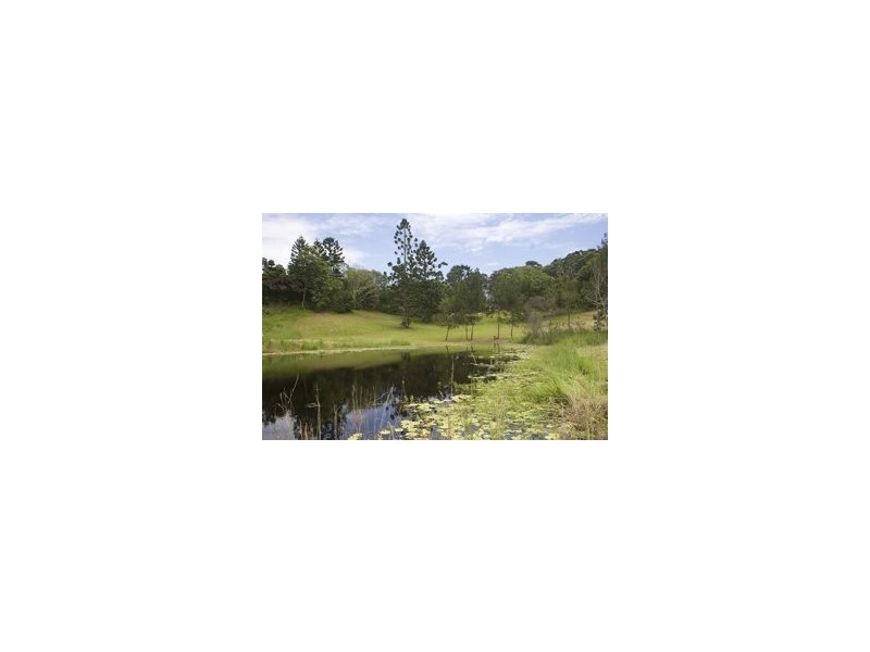 257  McAuley Lane, Myocum NSW 2481