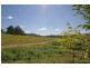Mullumbimby NSW 2482