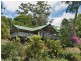 Lot 1 Wilsons Creek Road, Mullumbimby NSW 2482