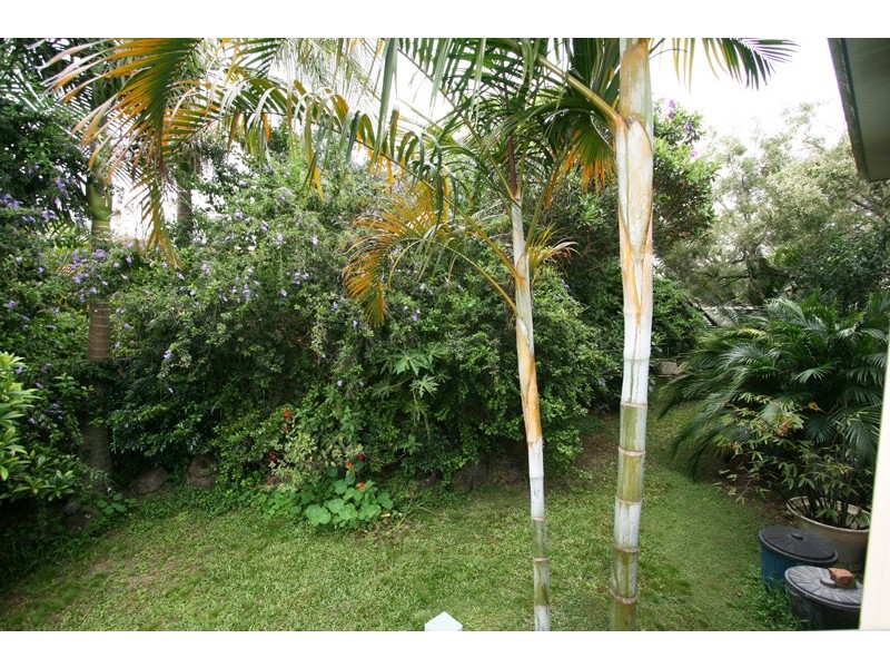 60 Ann City Lane, Mullumbimby NSW 2482