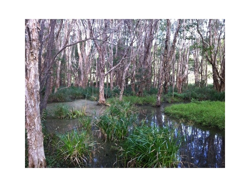 59A  Kingsvale Road, Byron Bay NSW 2481