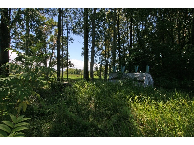 Lot 55 Fox’s Lane, Pacific Hwy, Tyagarah NSW 2481