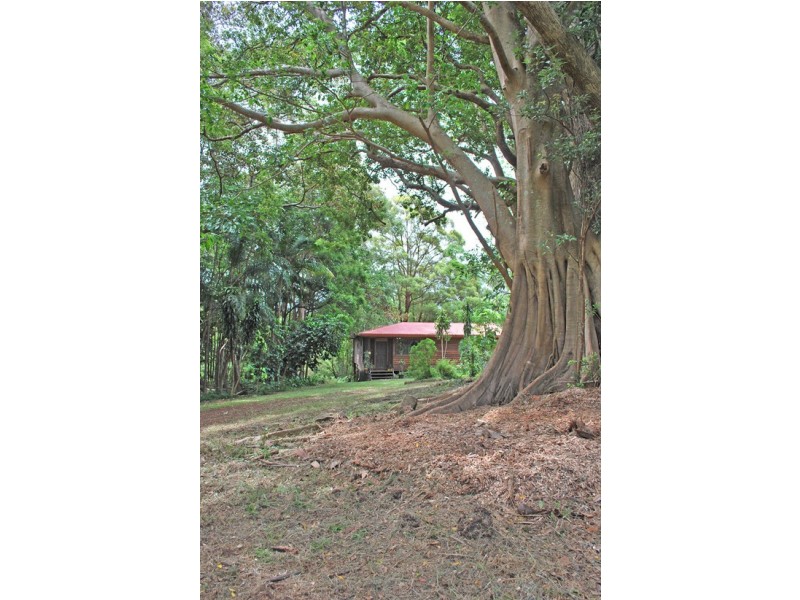 166 McGettigans Lane, Ewingsdale NSW 2481