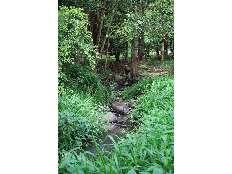 166 McGettigans Lane, Ewingsdale NSW 2481