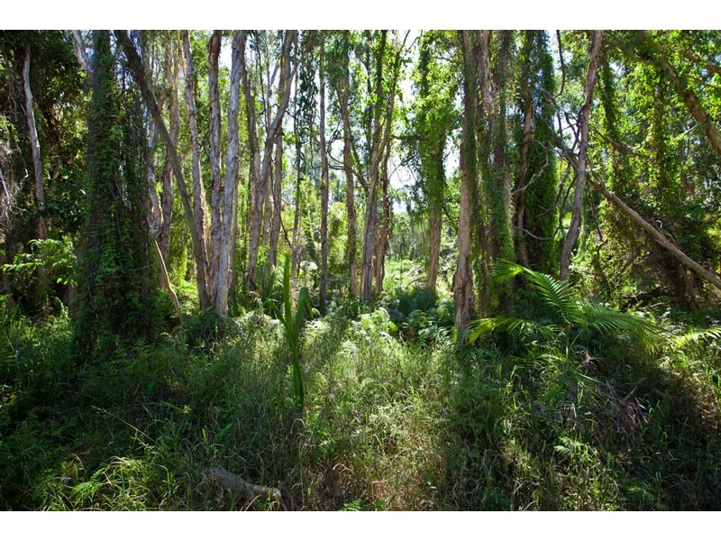 5/114 Bangalow Road, Byron Bay NSW 2481