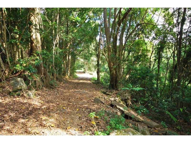 150 Tandys Lane, Brunswick Heads NSW 2483