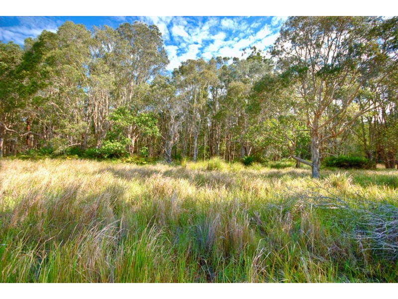 150 Tandys Lane, Brunswick Heads NSW 2483