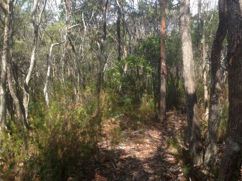 150 Tandys Lane, Brunswick Heads NSW 2483