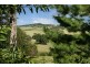 716 Coopers Shoot Road, Byron Bay NSW 2481