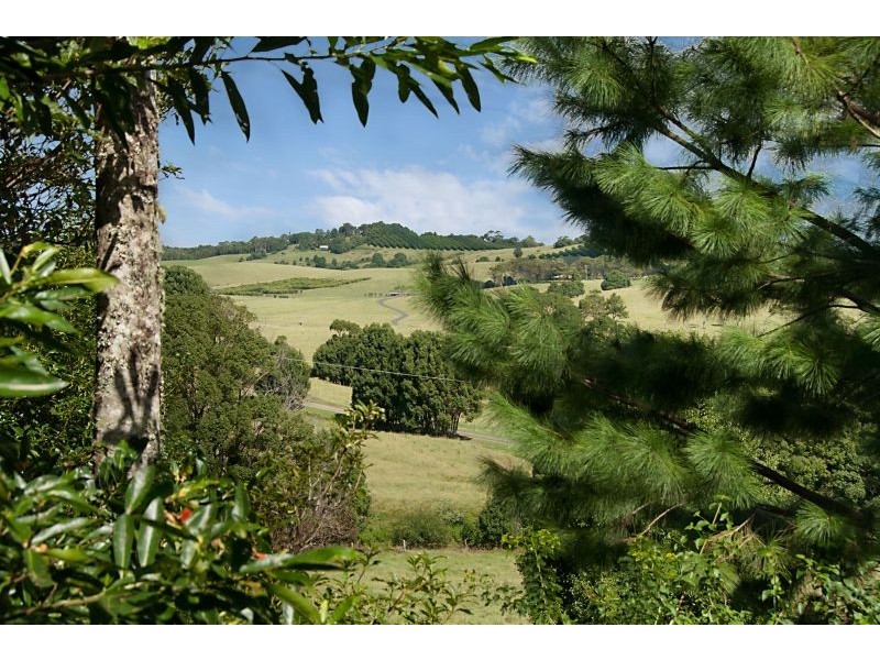 716 Coopers Shoot Road, Bangalow NSW 2479