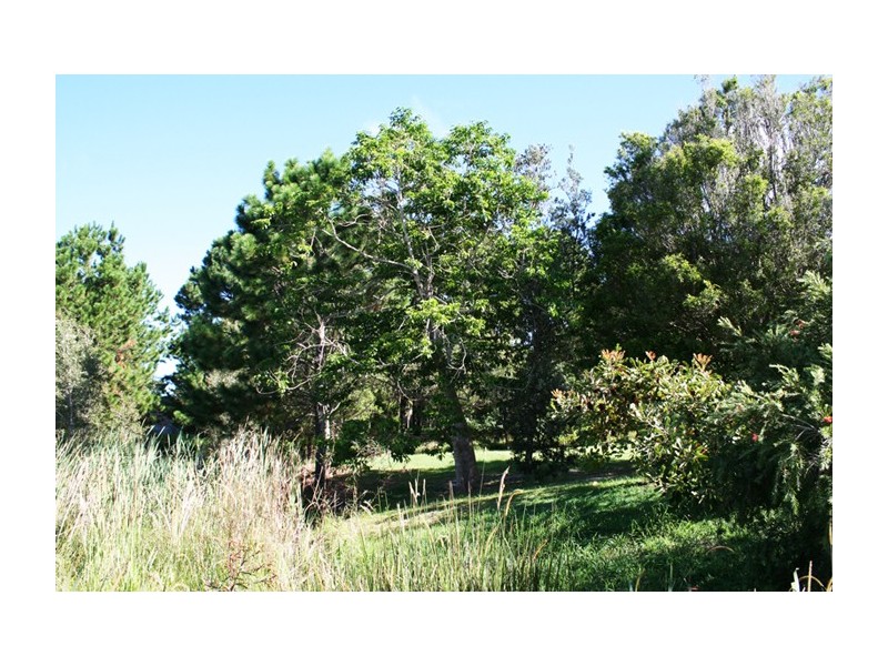 5 Tea Tree Court, Suffolk Park NSW 2481