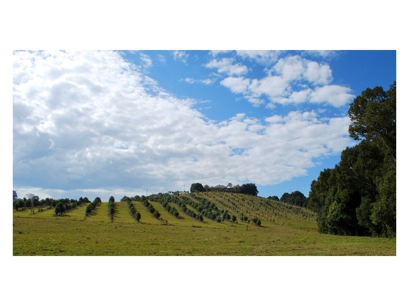 113 Stewarts Road, Nashua NSW 2479