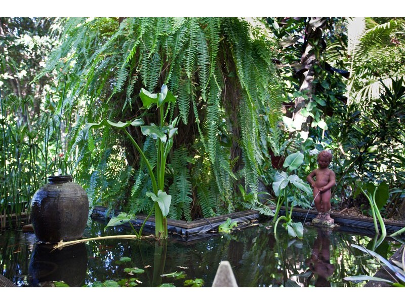 13 James View Court, Coorabell NSW 2479