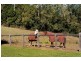 26 Bayview Drive, Goonengerry NSW 2482