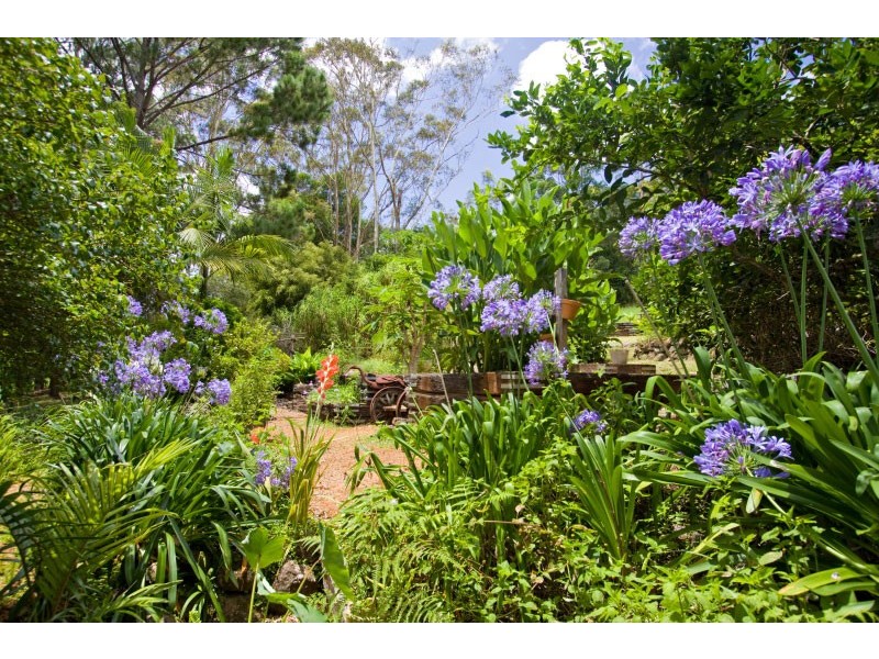 597 Friday Hut Road, Possum Creek NSW 2479