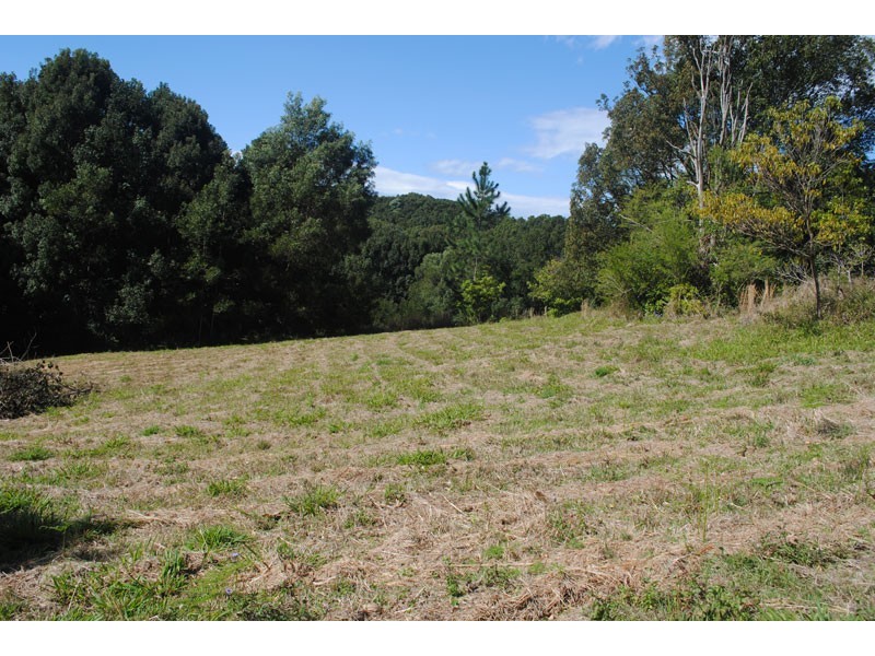 597 Friday Hut Road, Possum Creek NSW 2479